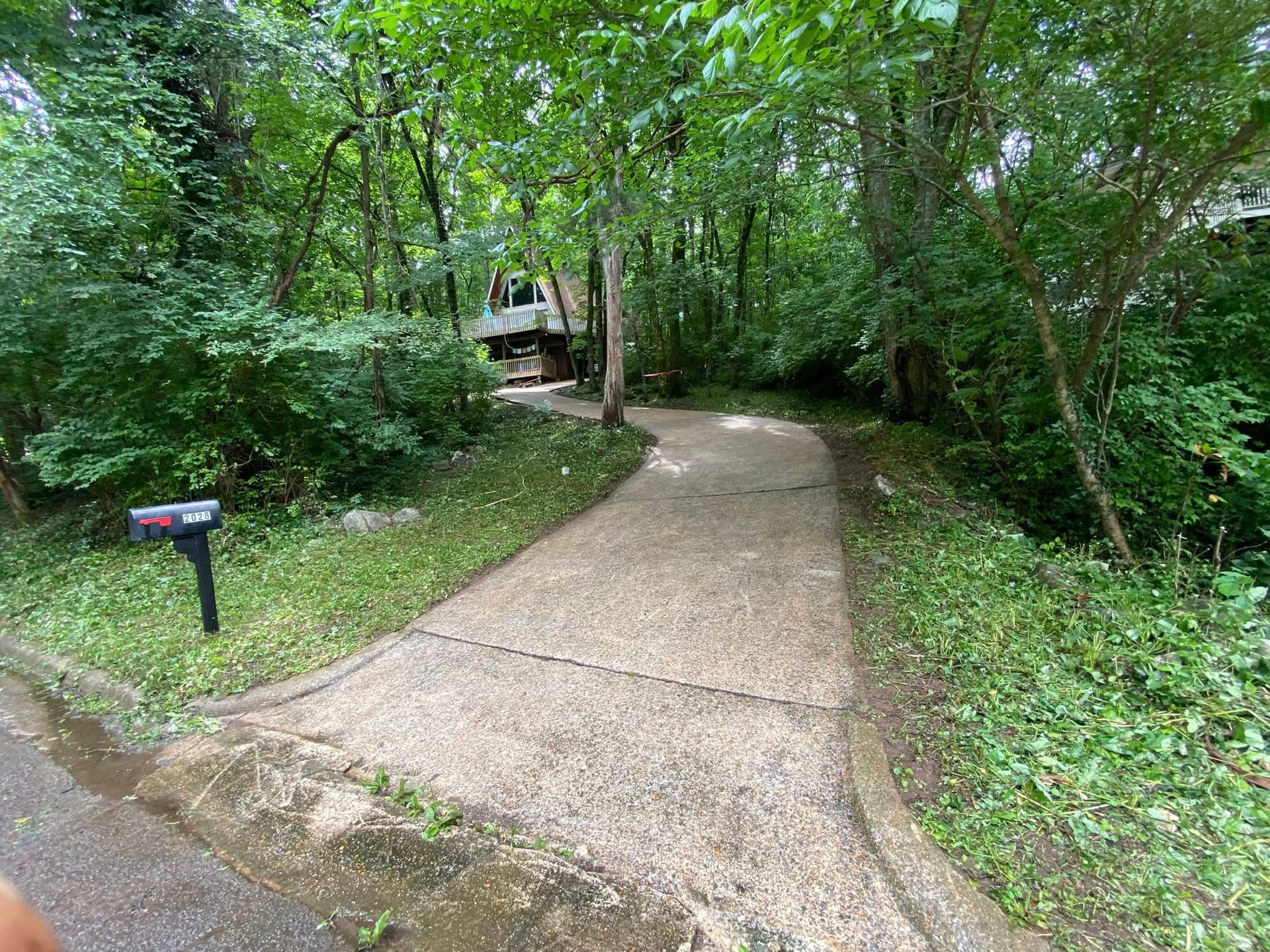 Driveway clearing — after