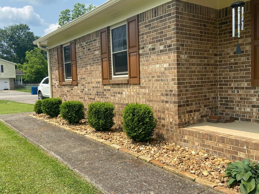 Bush trimming and landscaping