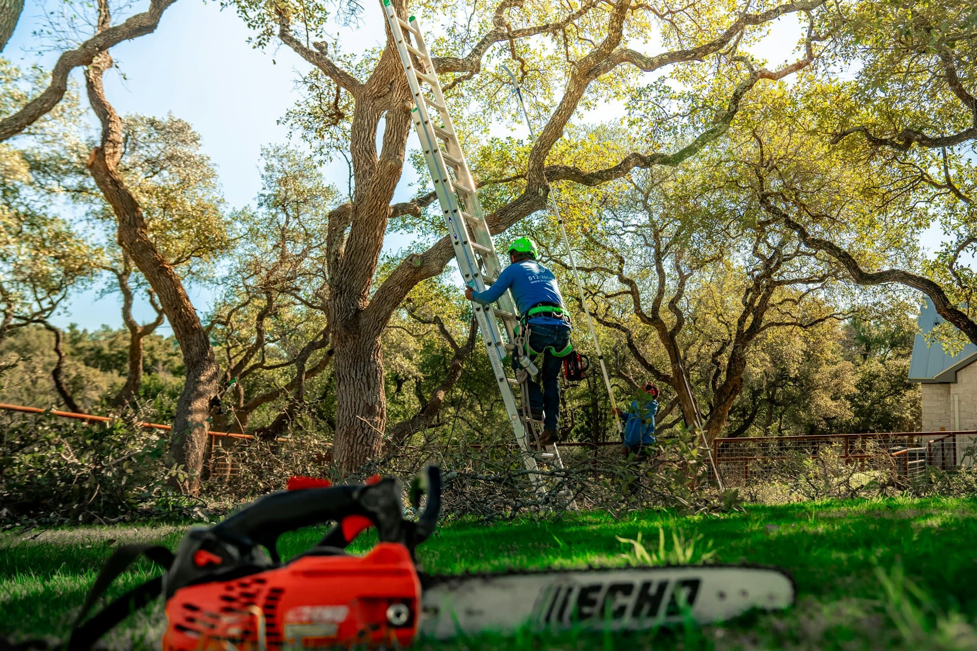 Red Spider Tree Service & Landscaping serving Huntsville, Alabama and North Alabama communities